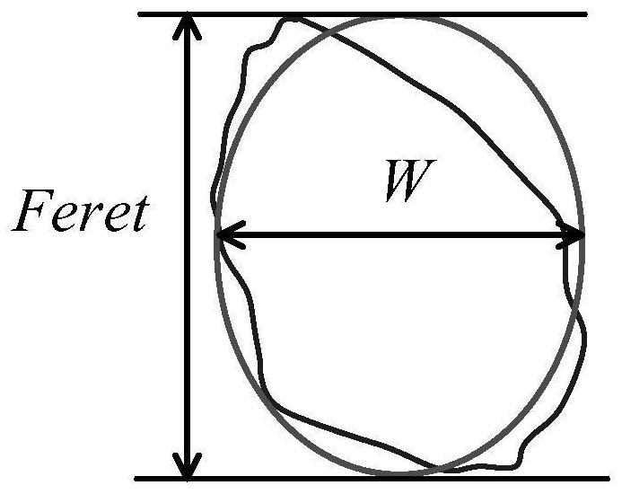 Machine-made sand void ratio online measurement system and method based on double cameras