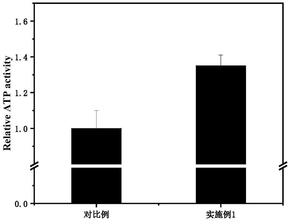 Tissue engineering hydrogel scaffold for promoting cell migration, preparation method of tissue engineering hydrogel scaffold, 3D printing slurry and preparation method of 3D printing slurry