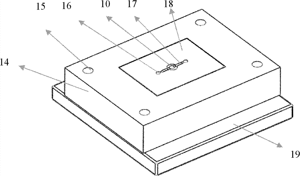 Ultrasonic auxiliary micro injection forming die