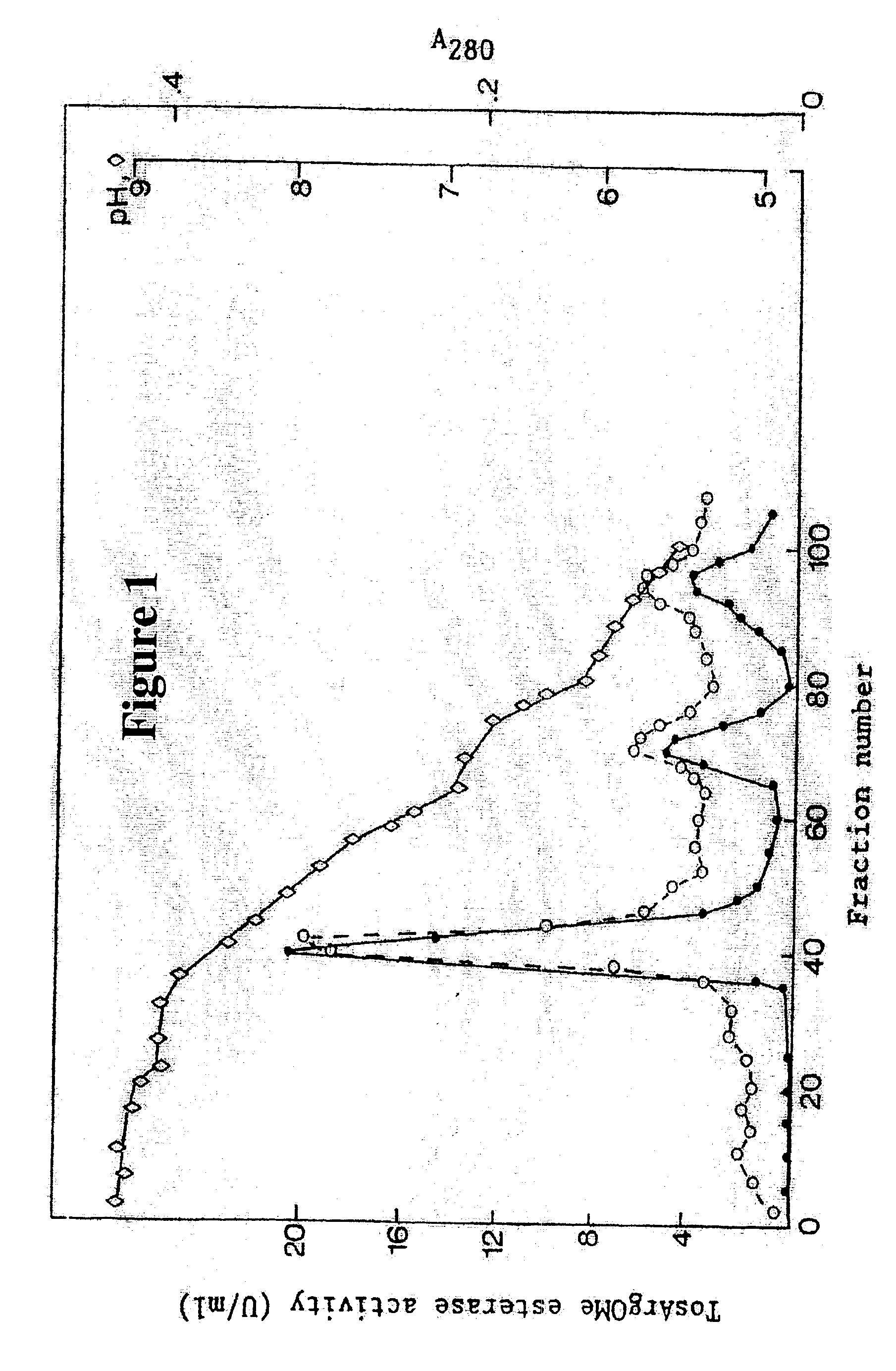 Fish serine proteinase and their pharmaceutical and cosmetic use