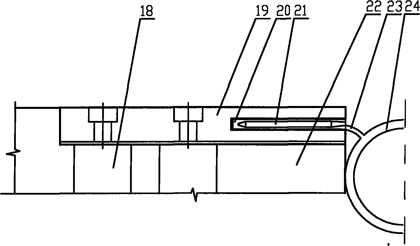 Bridge deck steel-plastic body expansion device