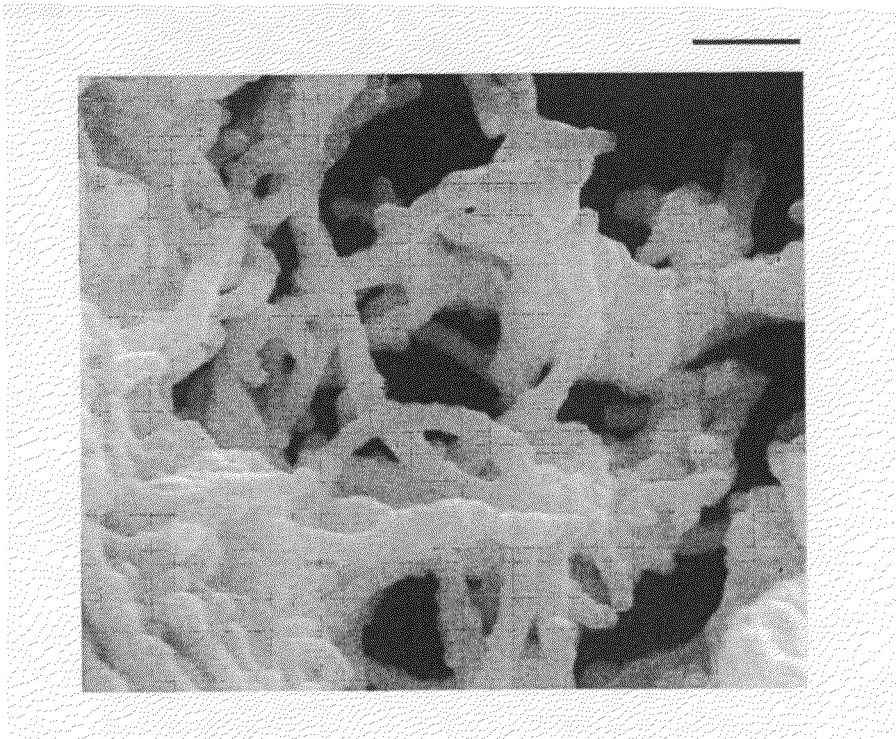 Methods for osmylating and ruthenylating single-walled carbon nanotubes