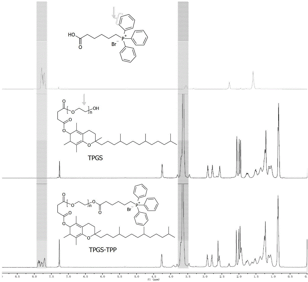 Triphenylphosphine-polyethyleneglycol 1000 vitamin E succinate (TPGS 1000-TPP) conjugated compound, and preparation method and application thereof