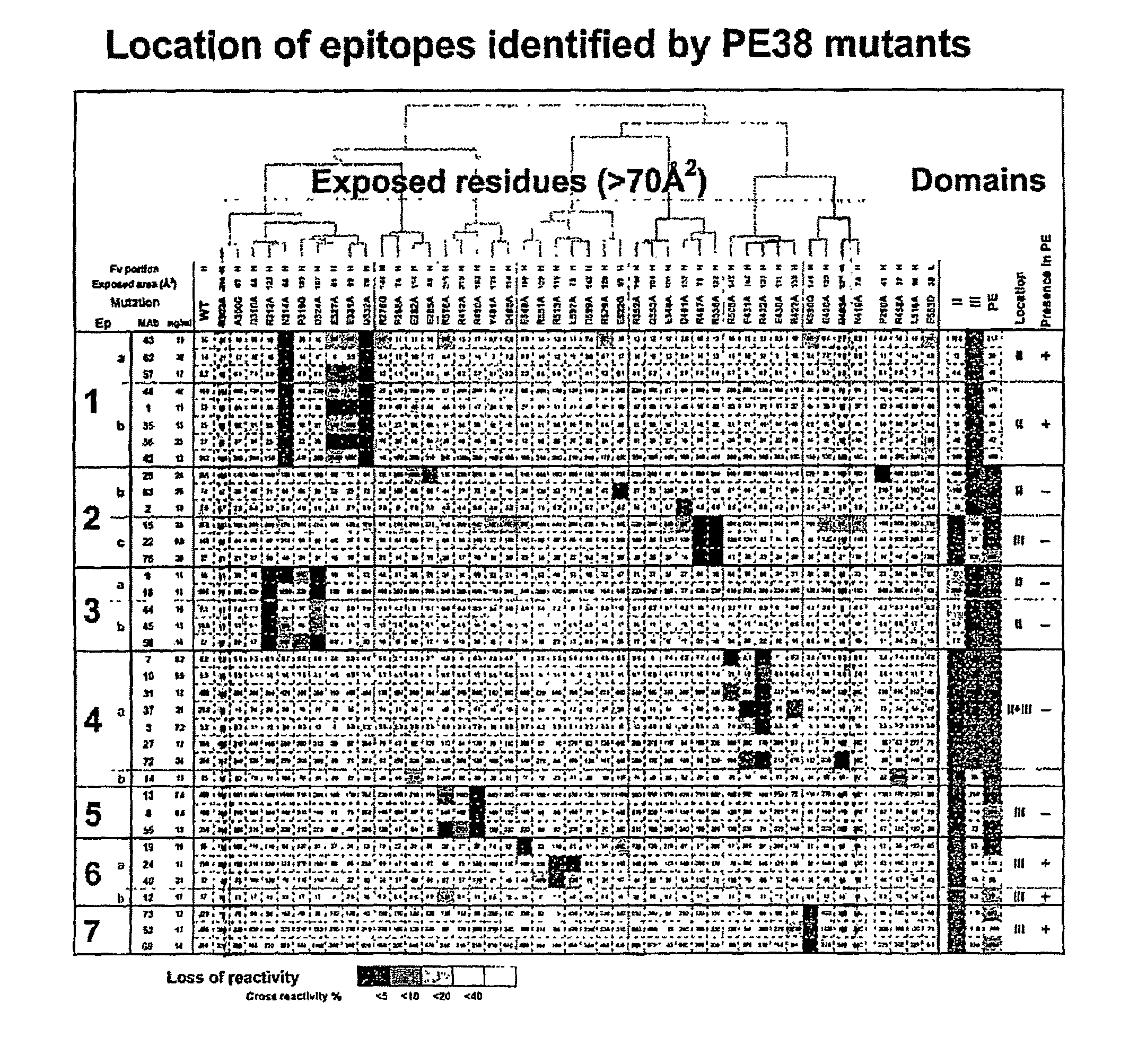 Mutated <i>Pseudomonas </i>exotoxins with reduced antigenicity