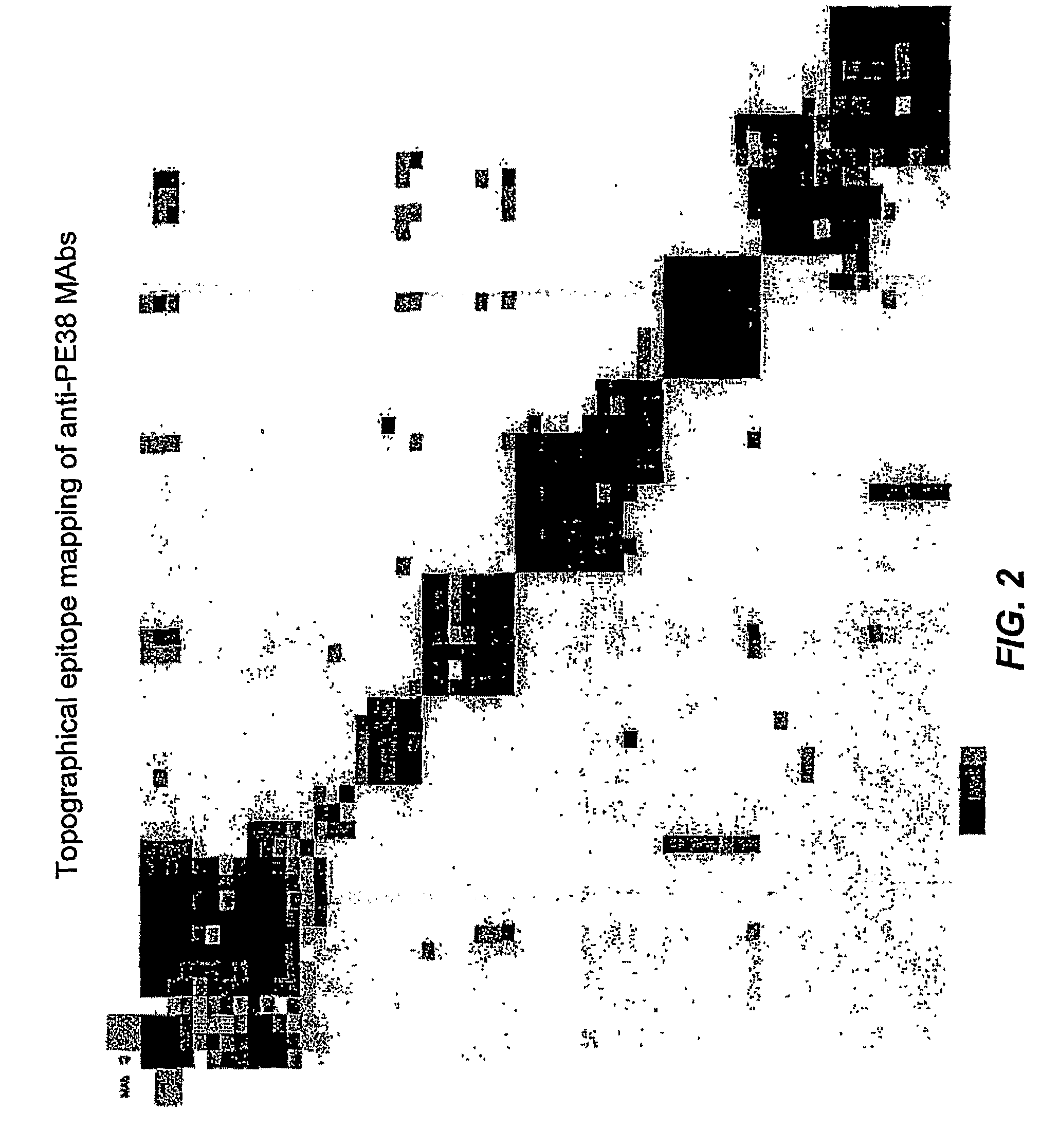 Mutated <i>Pseudomonas </i>exotoxins with reduced antigenicity