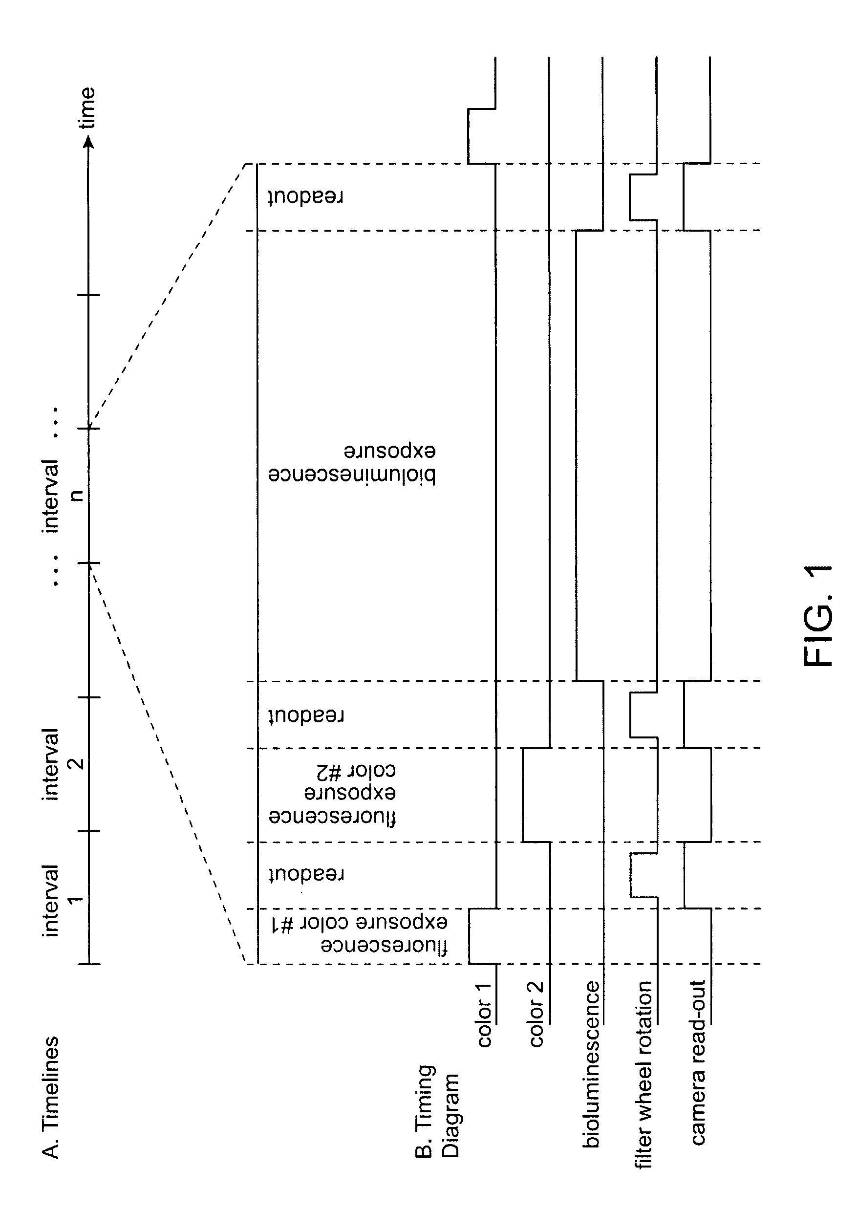 Apparatus and method for interleaving detection of fluorescence and luminescence