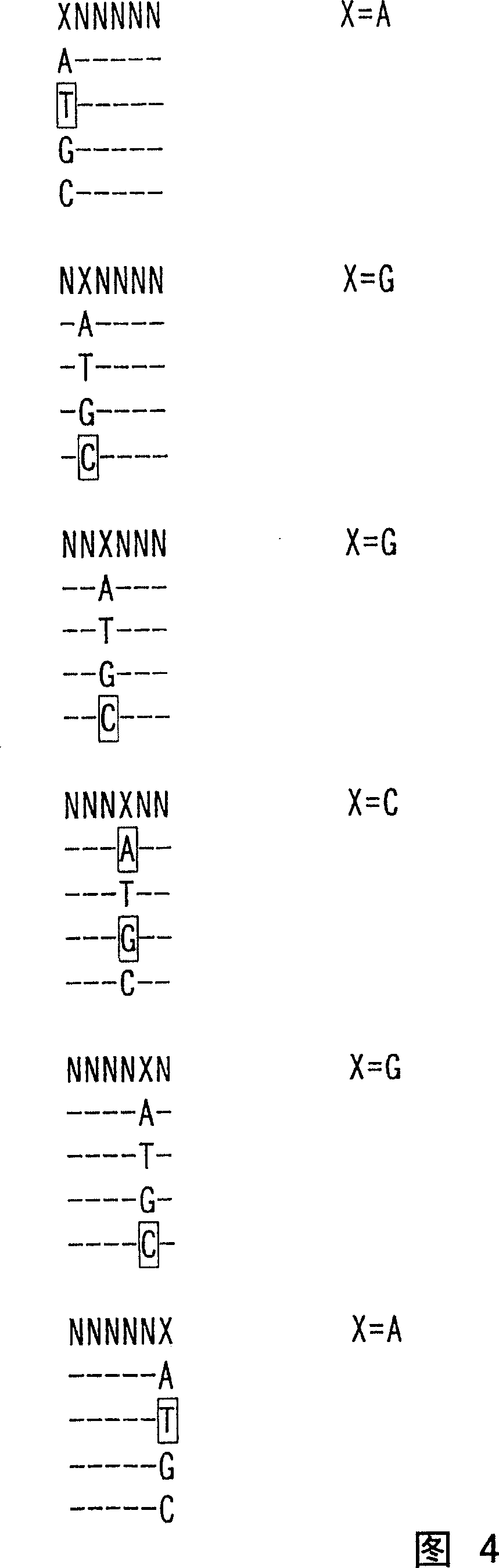 Nucleotide derivatives and DNA microarray