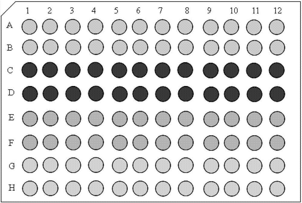 Primer probe and kit for detecting oncogene of cervical cancer and detection method for non-detection disease purpose