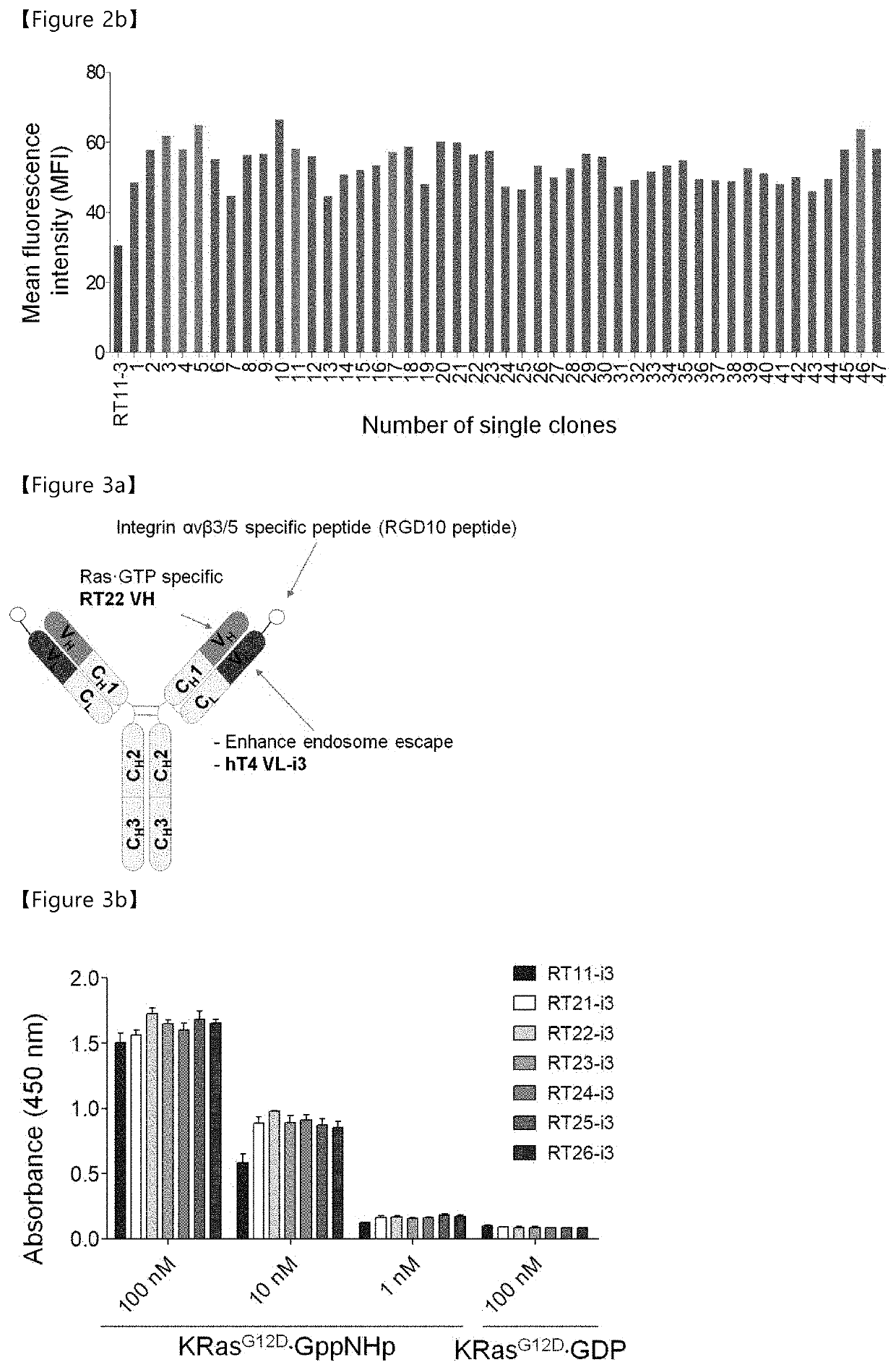 Antibody inhibiting activated ras in cell by internalizing into cytosol of cell, and use thereof