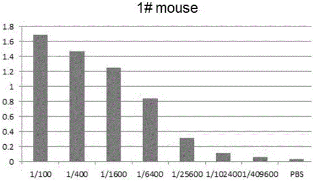 Preparation and application of a kind of human icf45 monoclonal antibody