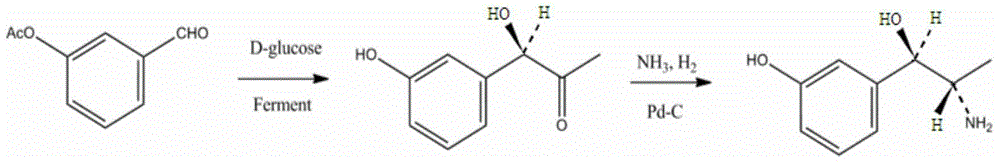 A kind of synthetic method of metaraminol tartrate