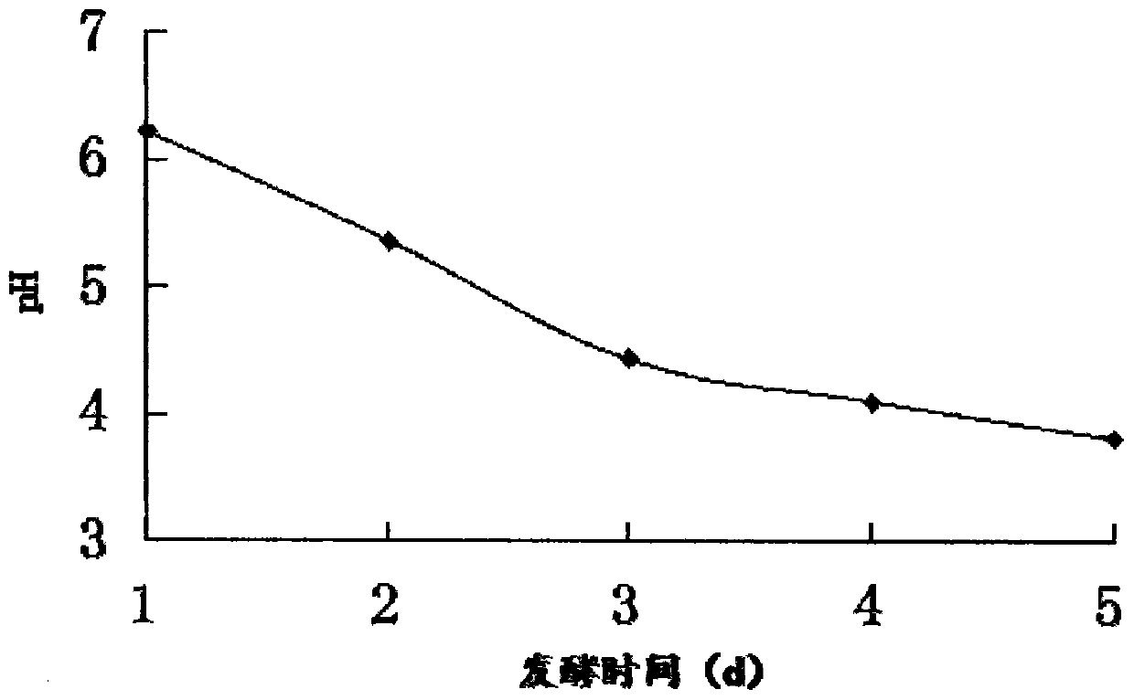 Lactobacillus plantaru fermented shiitake mushroom and preparation method thereof