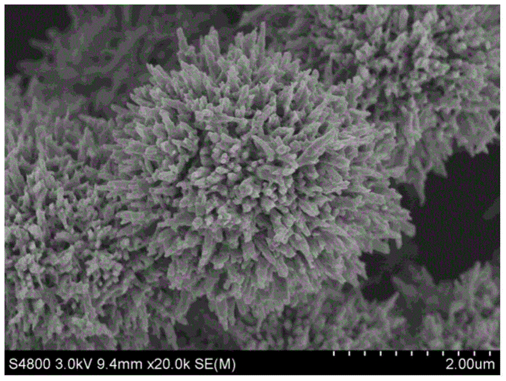 A self-assembled flower spherical lithium-ion battery positive electrode material v  <sub>2</sub> o  <sub>5</sub> preparation method