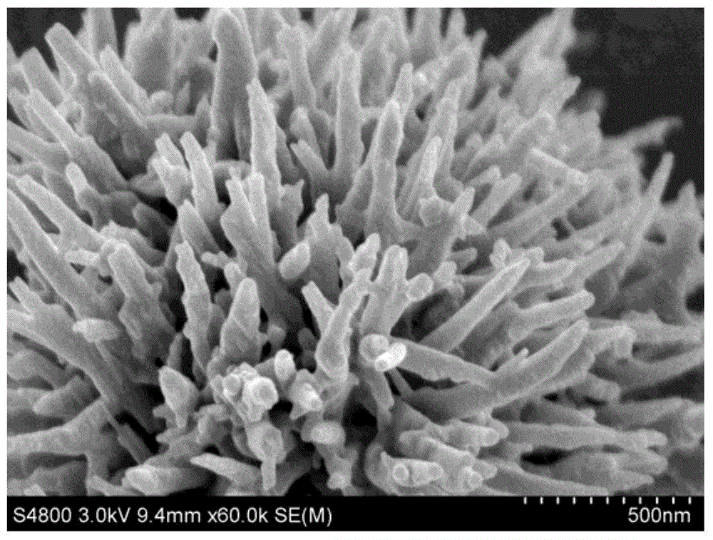 A self-assembled flower spherical lithium-ion battery positive electrode material v  <sub>2</sub> o  <sub>5</sub> preparation method