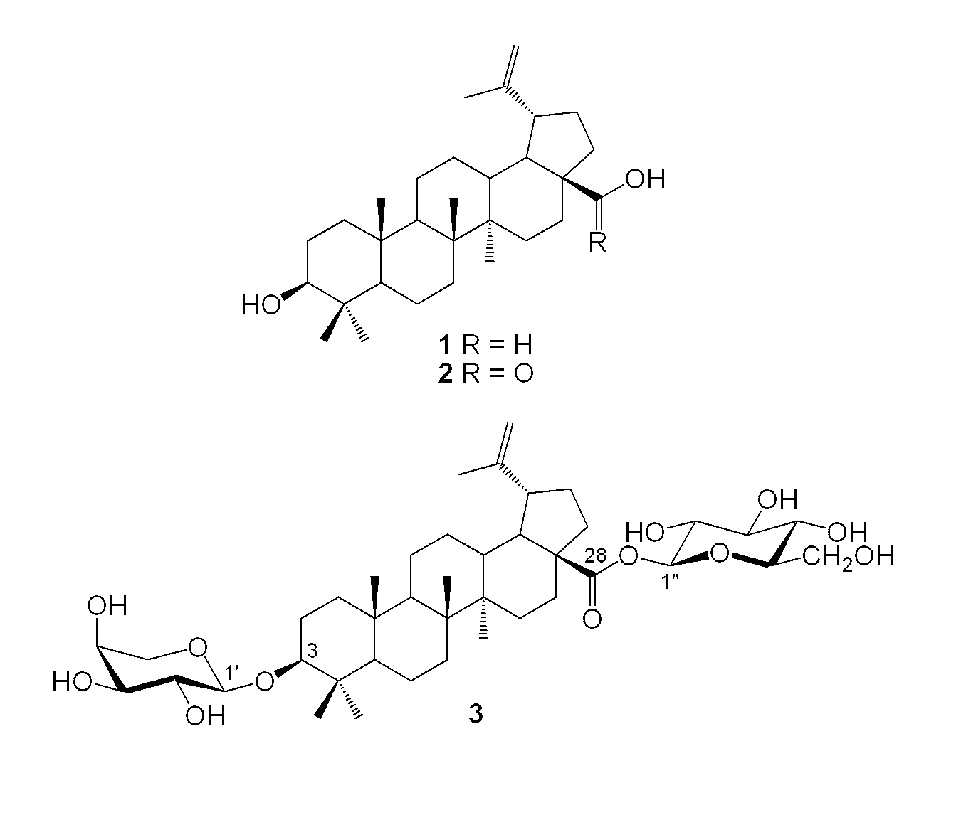 Bidesmosidic betulin and betulinic acid derivatives and uses thereof as antitumor agents