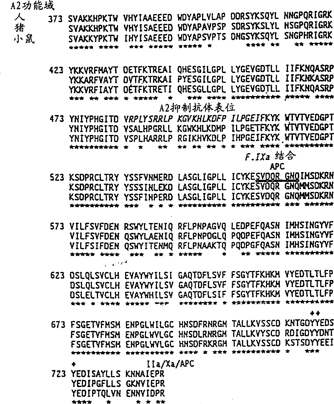 Modified factor VIII