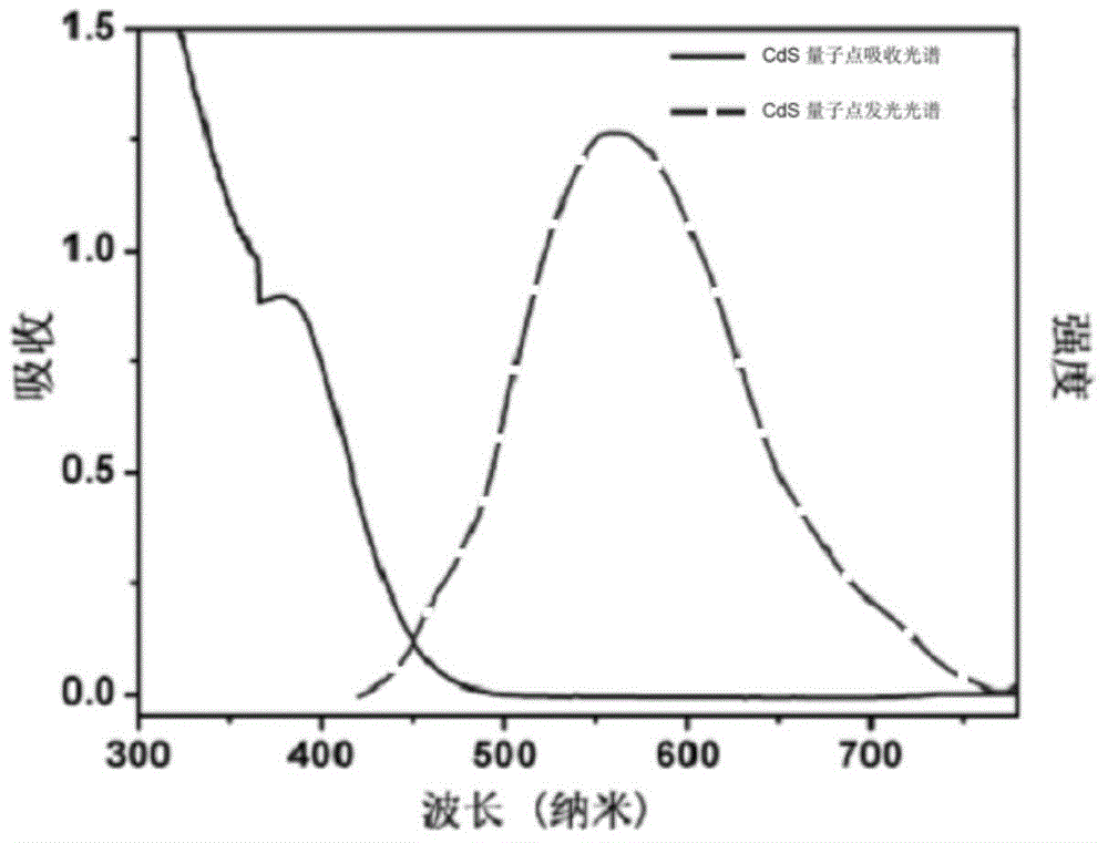 Photocathode based on metallic oxides, quantum dots and hydrogen generation catalyst and preparation method and application of photocathode