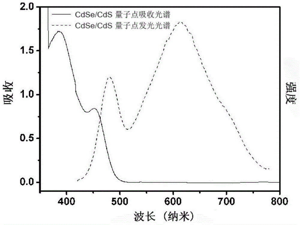 Photocathode based on metallic oxides, quantum dots and hydrogen generation catalyst and preparation method and application of photocathode