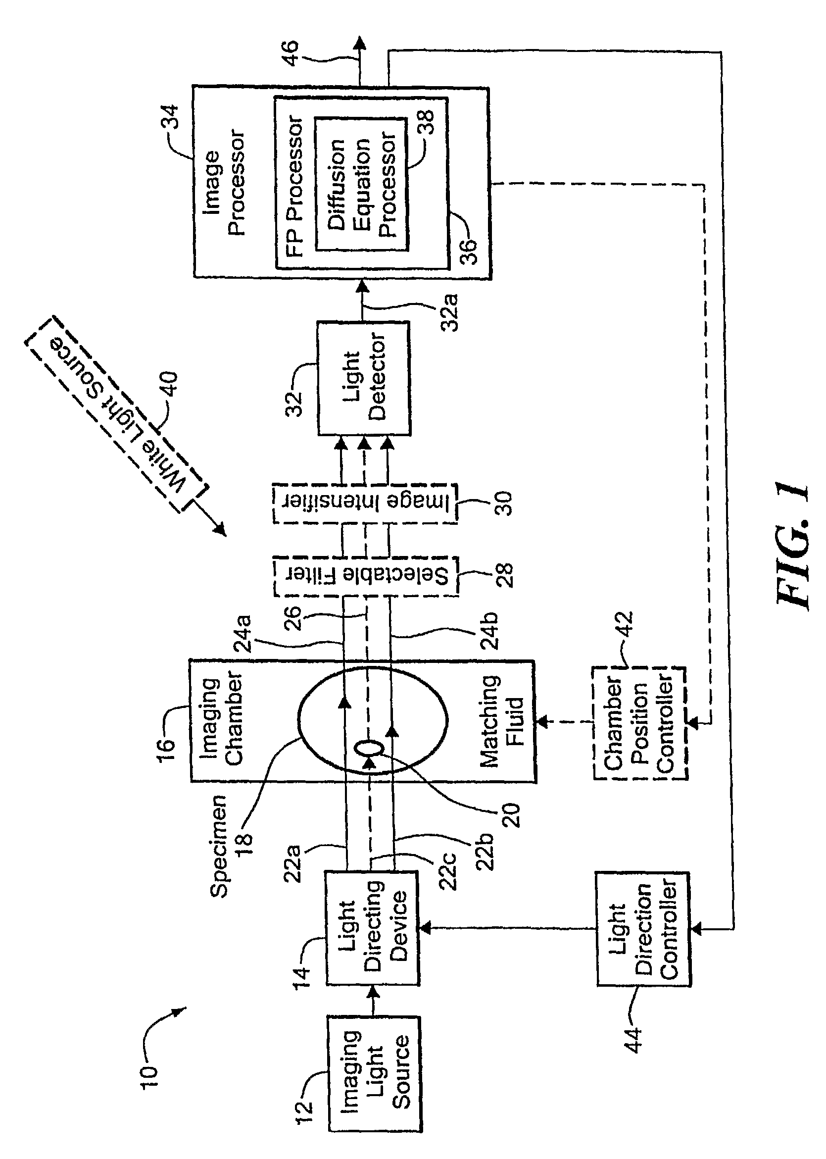 Method and system for tomographic imaging using fluorescent proteins