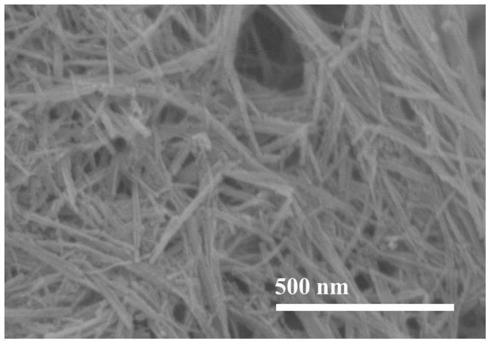 Method for rapidly degrading organic pollutants in water