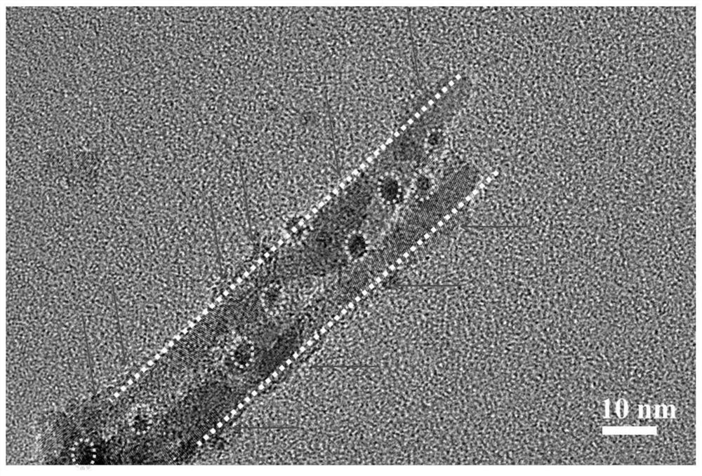 Method for rapidly degrading organic pollutants in water