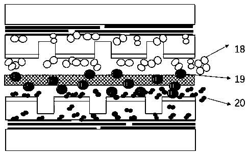 Monopole plate for hydrogen fuel cell, preparation method thereof and hydrogen fuel cell