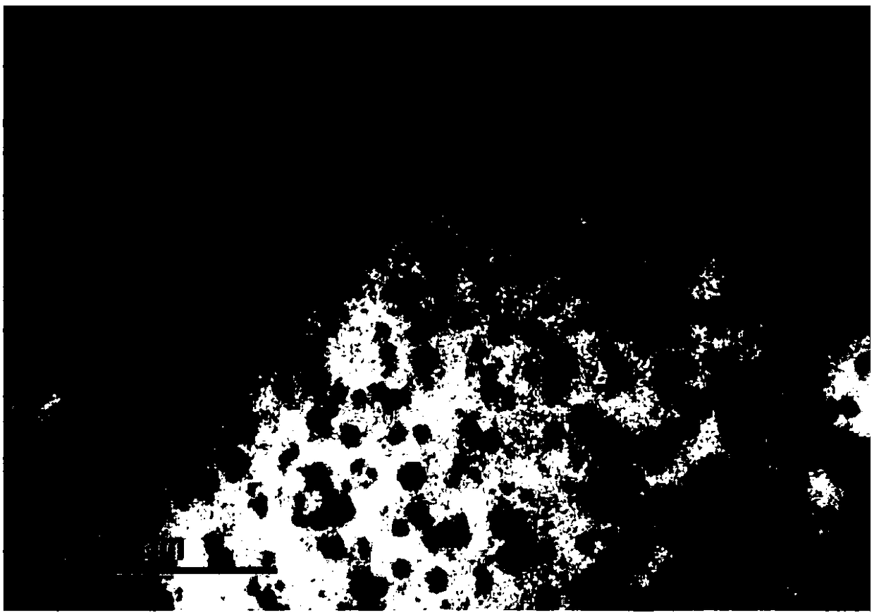 Composite silicon powder embedding aluminum-rich nano particles as well as preparation method and application thereof