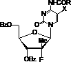 Nucleoside phosphamide prodrug as well as preparation method and application of nucleoside phosphamide prodrug