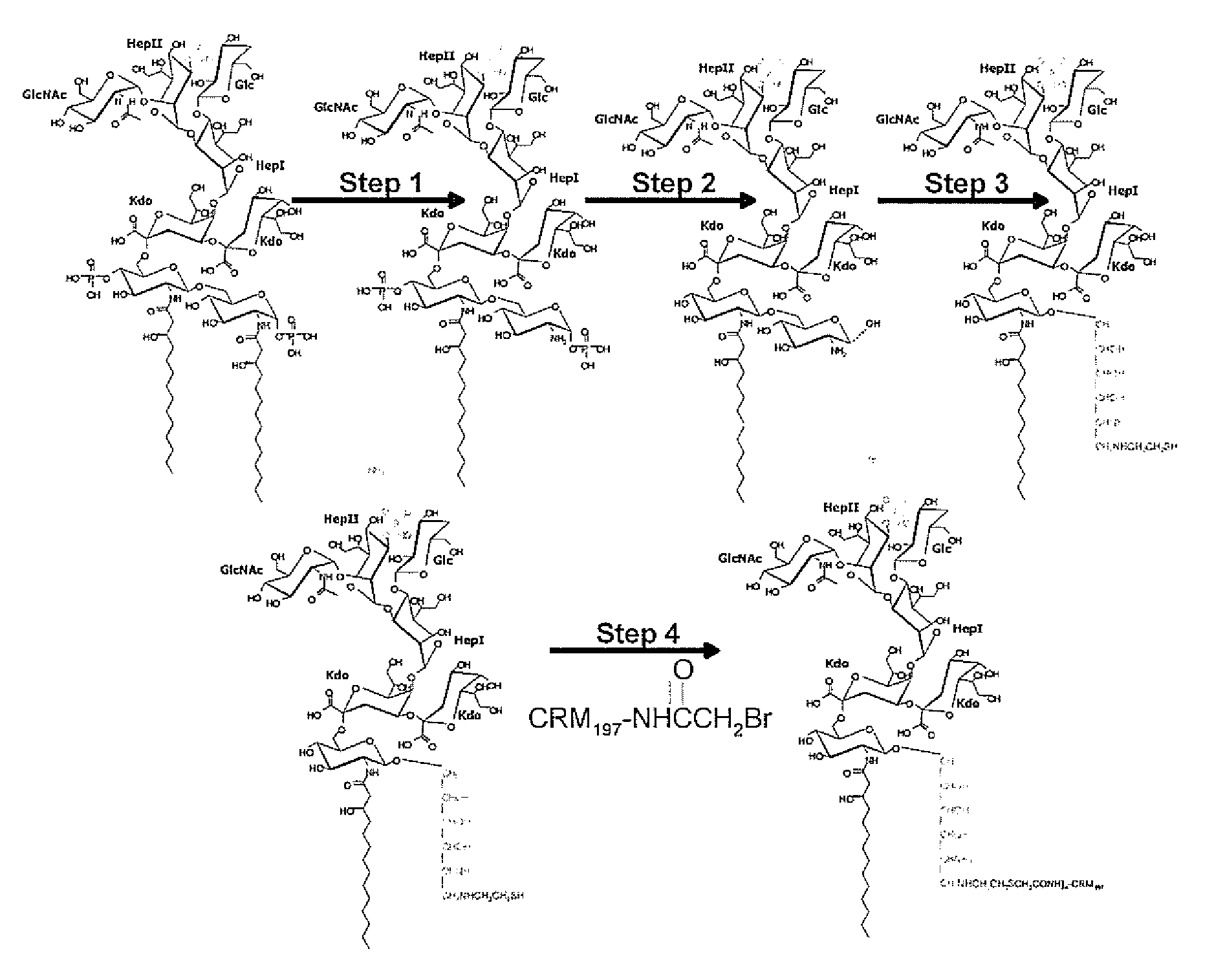 LPS Based Vaccines