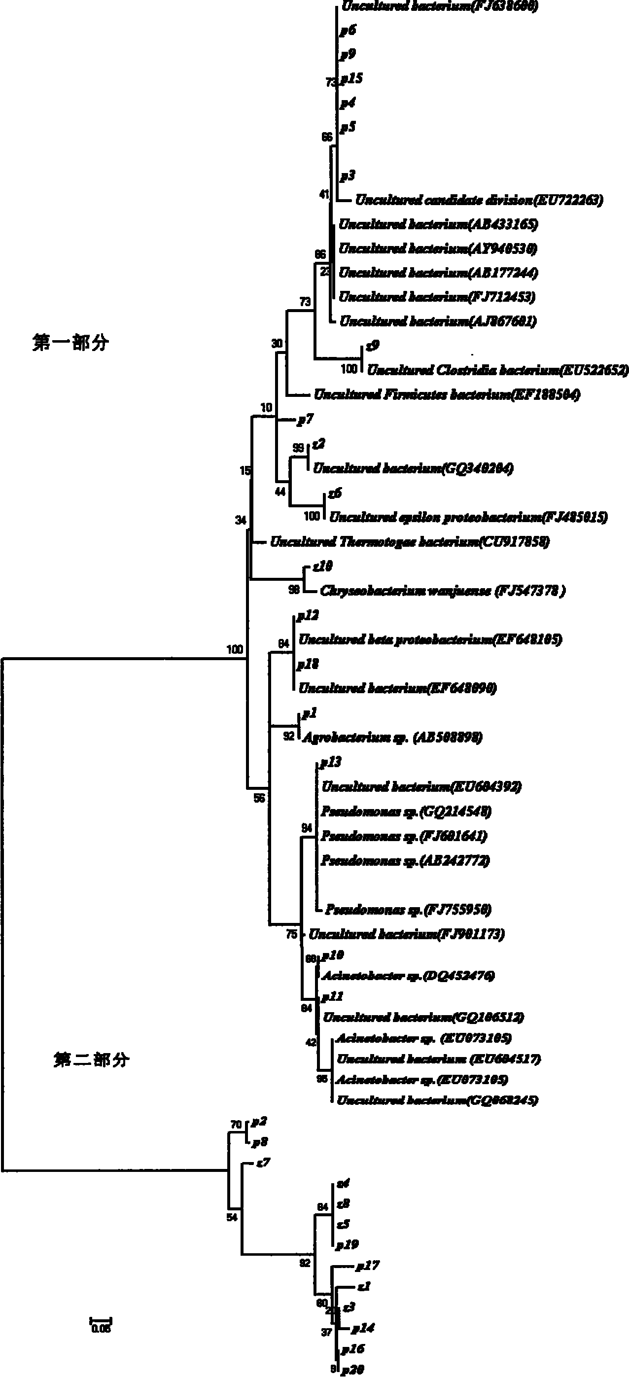 Method for monitoring advantageous flora in microbial enhanced oil recovery