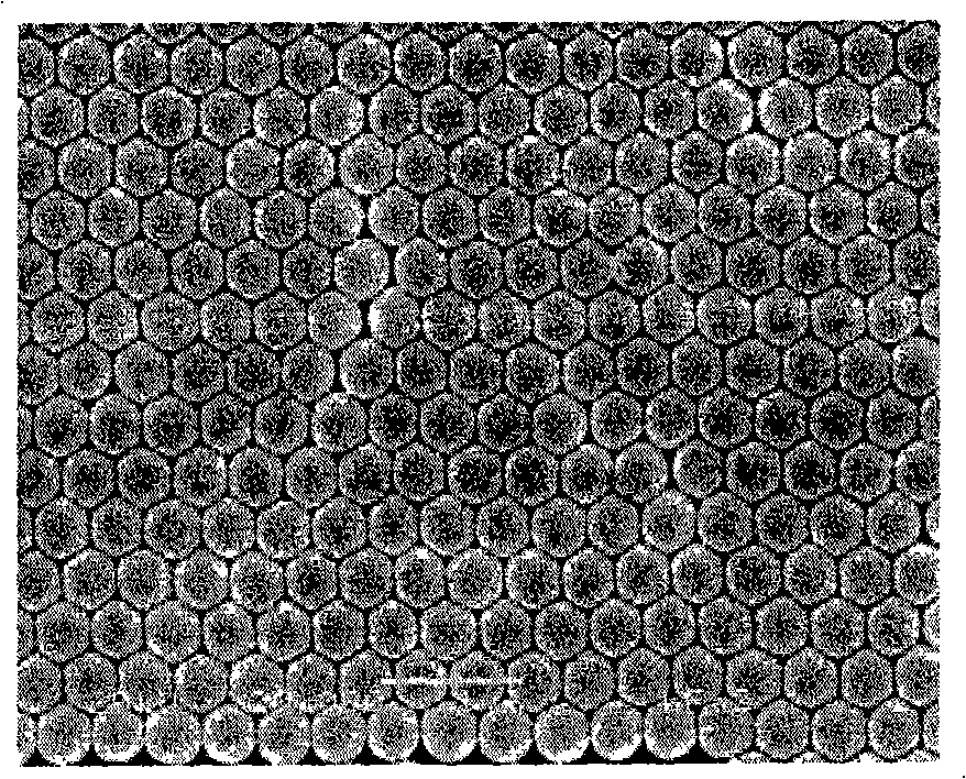 Surface plasma resonance image-forming nanostructure array chip preparation method