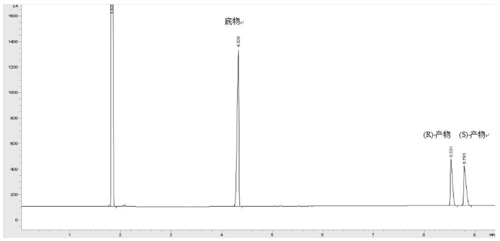 Curvularia crescens b-36 and its application in the synthesis of chiral alcohols