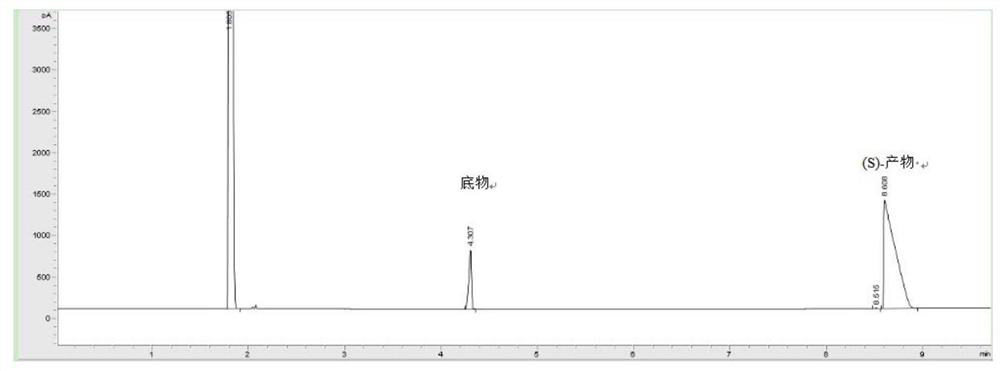 Curvularia crescens b-36 and its application in the synthesis of chiral alcohols