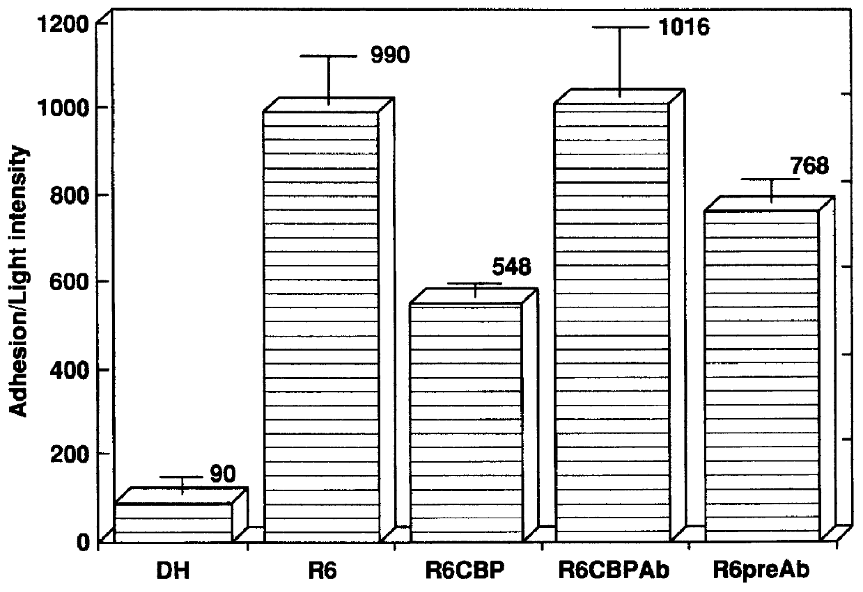 Choline binding proteins for anti-pneumococcal vaccines