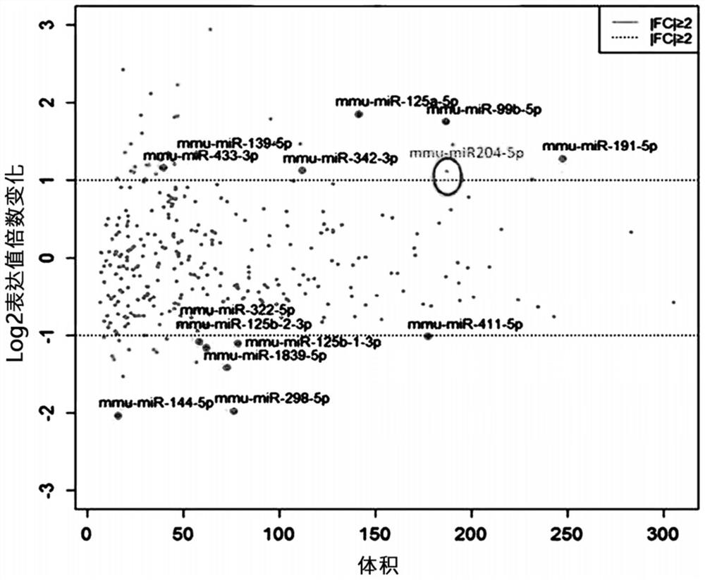 Screening method for pharmaceutical composition and inhibitor for hippocampal function decline