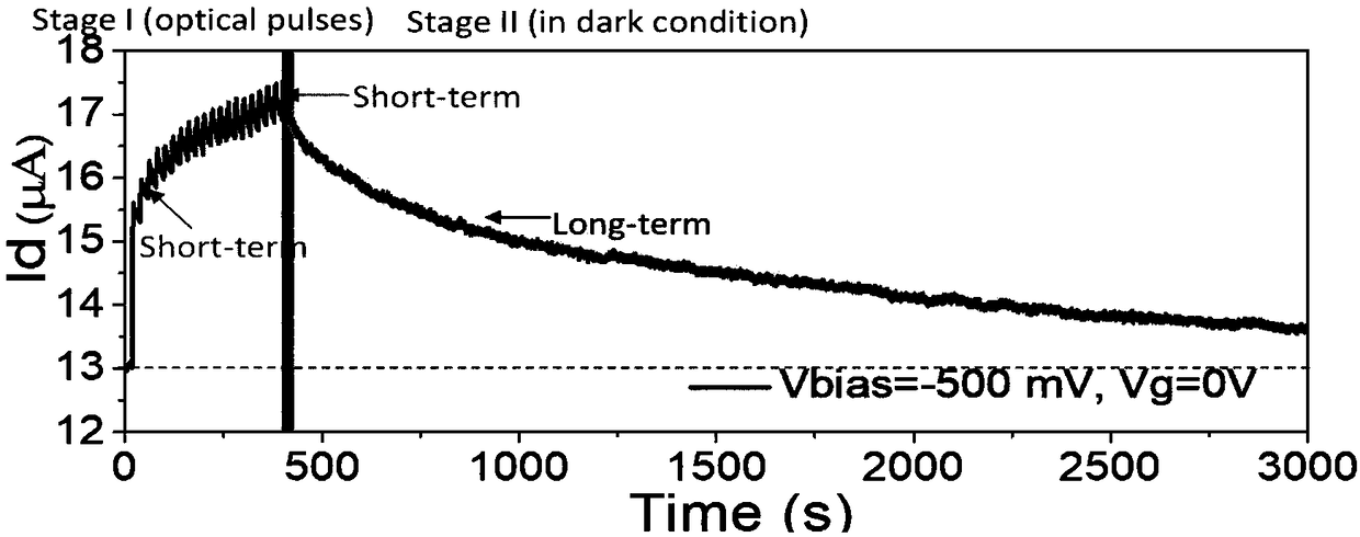 A method and device for simulate an optical synapse of an organism