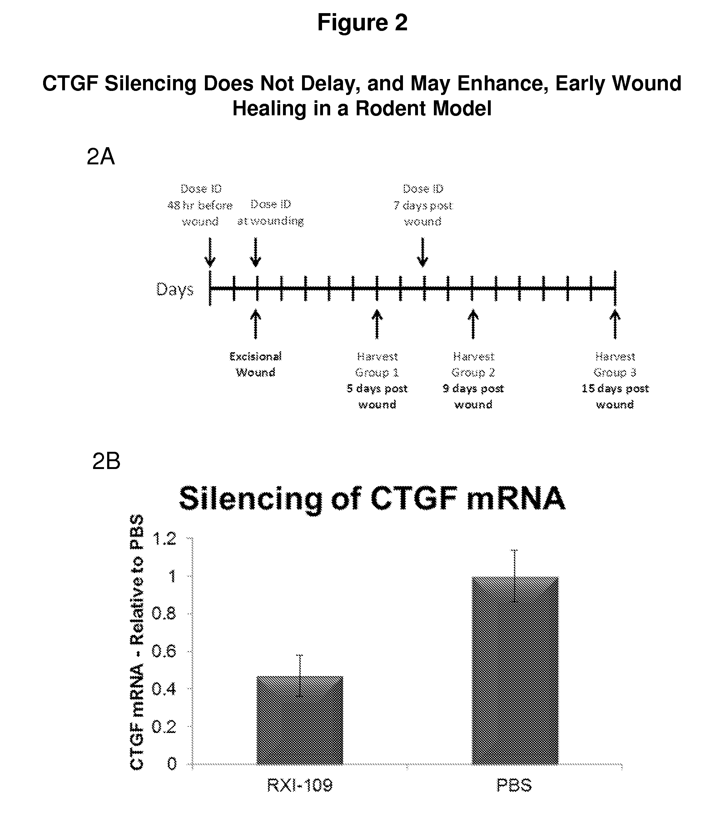 Methods for treatment of wound healing utilizing chemically modified oligonucleotides