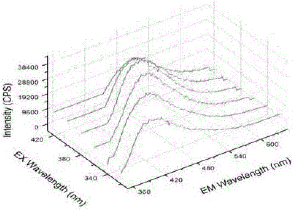 Composite nanodot based on carbon nanodot and preparation technology thereof