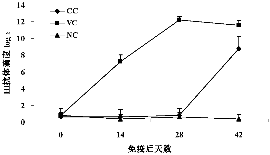 Caprine parainfluenza virus type 3 JS14-2 strain and application thereof