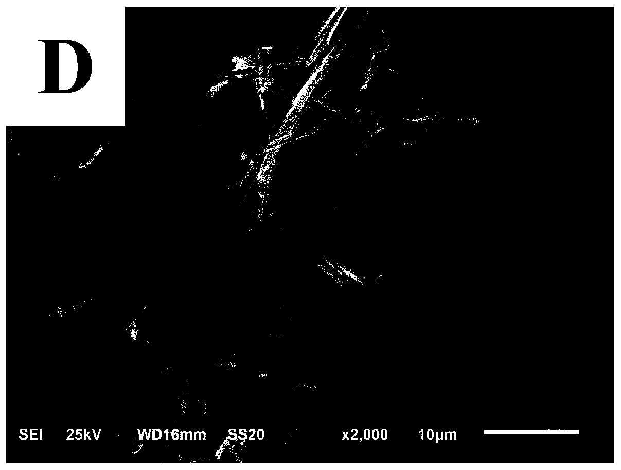 Preparation method and application of self-cleaning electrochemical sensor under visible light