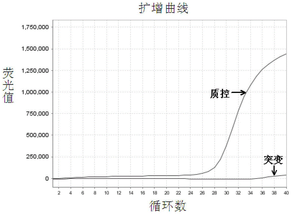 EGFR Gene Exon 19 19 Deletion Mutation Detection Kit and Detection Method