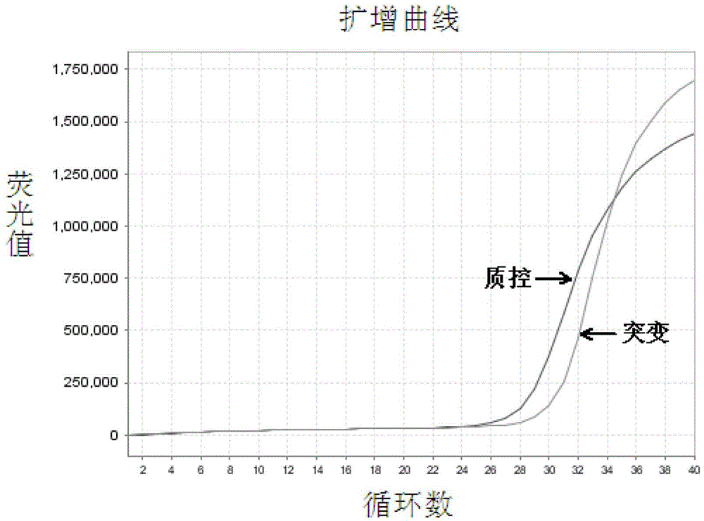 EGFR Gene Exon 19 19 Deletion Mutation Detection Kit and Detection Method