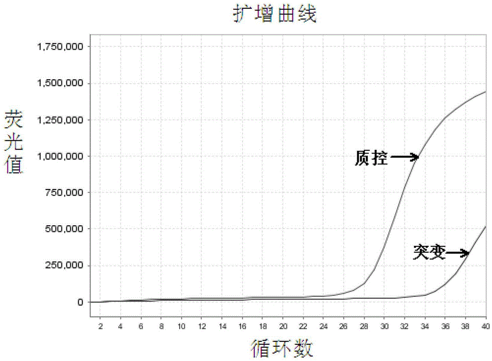 EGFR Gene Exon 19 19 Deletion Mutation Detection Kit and Detection Method