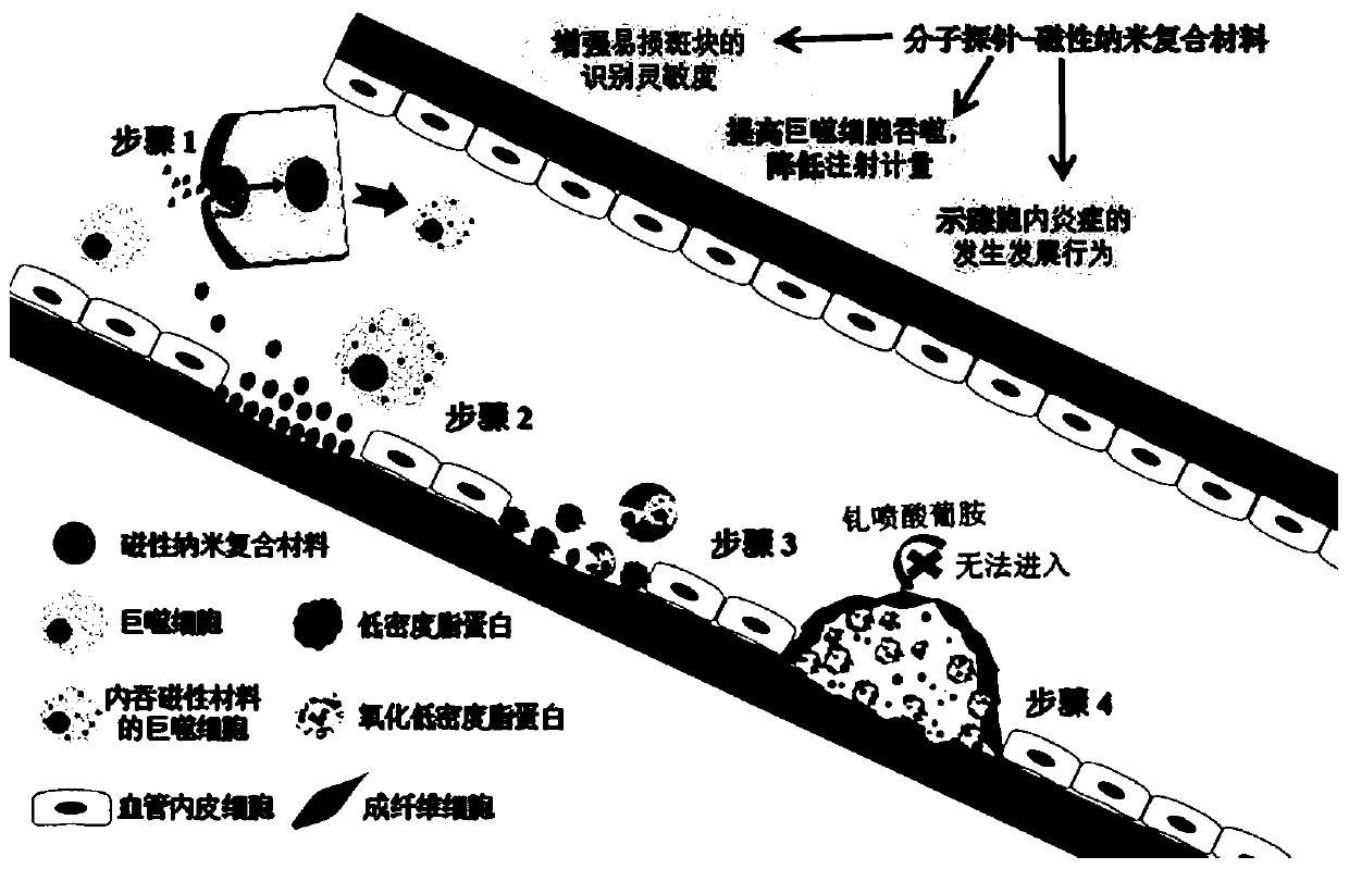 Magnetic nano composite material and preparation method and application of material