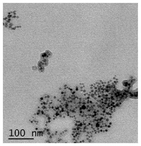 Magnetic nano composite material and preparation method and application of material