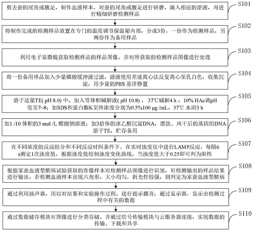 Intelligent detection system and method for silkworm nuclear polyhedrosis