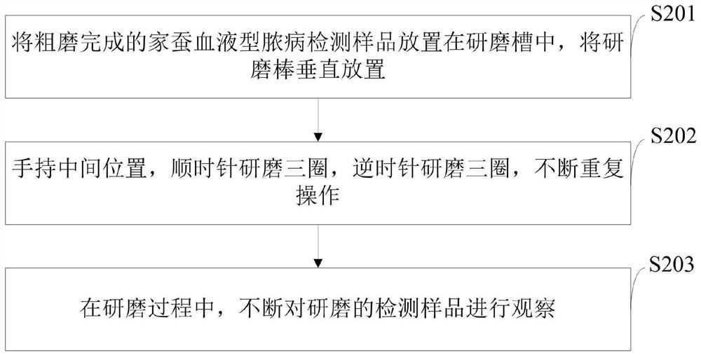 Intelligent detection system and method for silkworm nuclear polyhedrosis