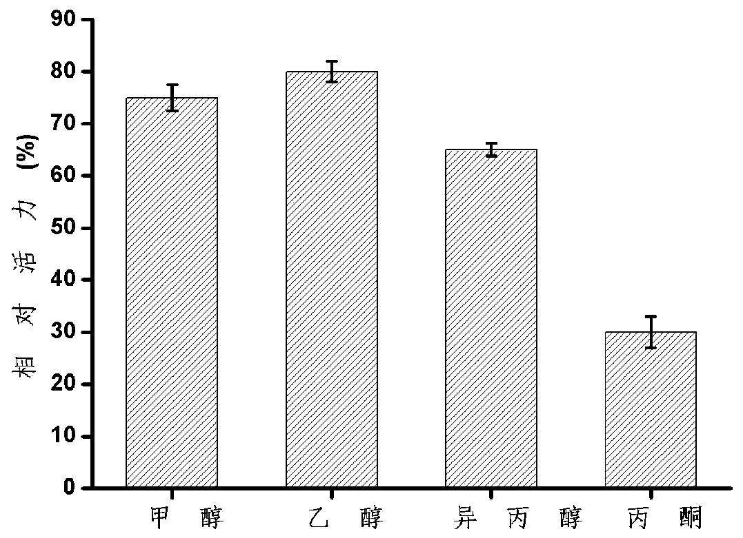 Organic solvent-tolerant lipase mutant and application thereof