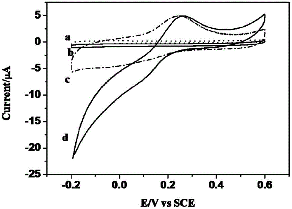 Use of copper-adenine coordination polymer