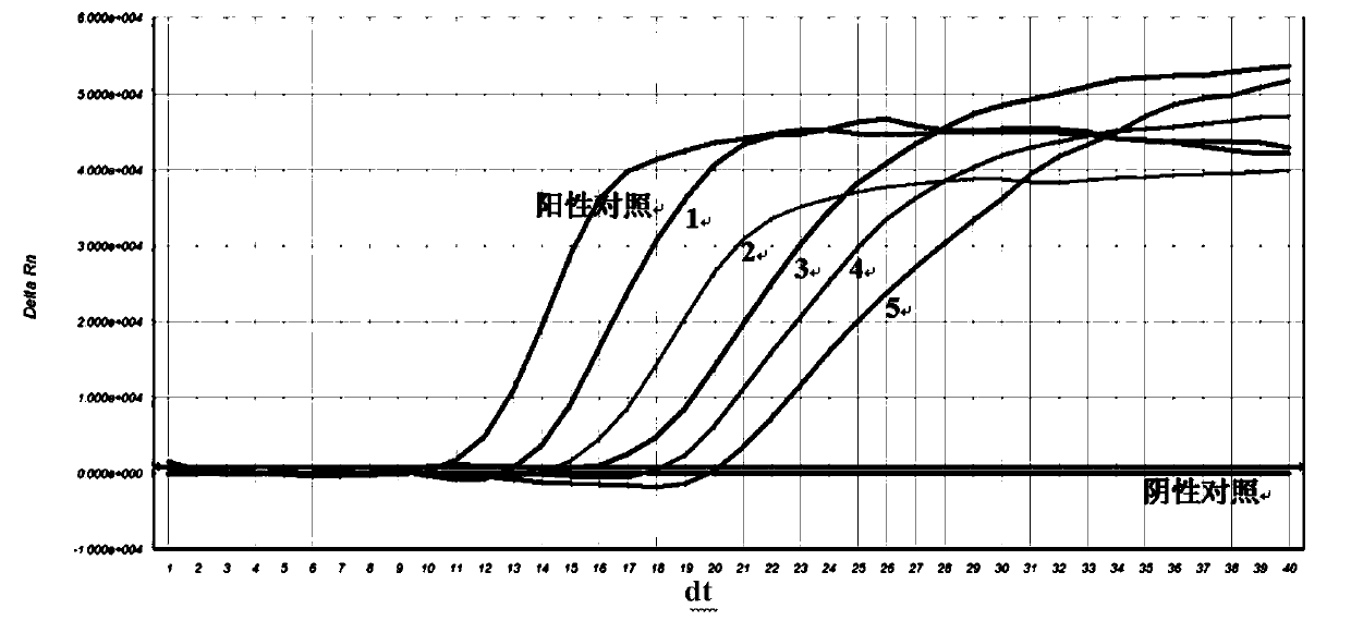 Nucleic acid constant-temperature amplification method of Methicillin-resistant Staphylococcus aureus (MRSA)